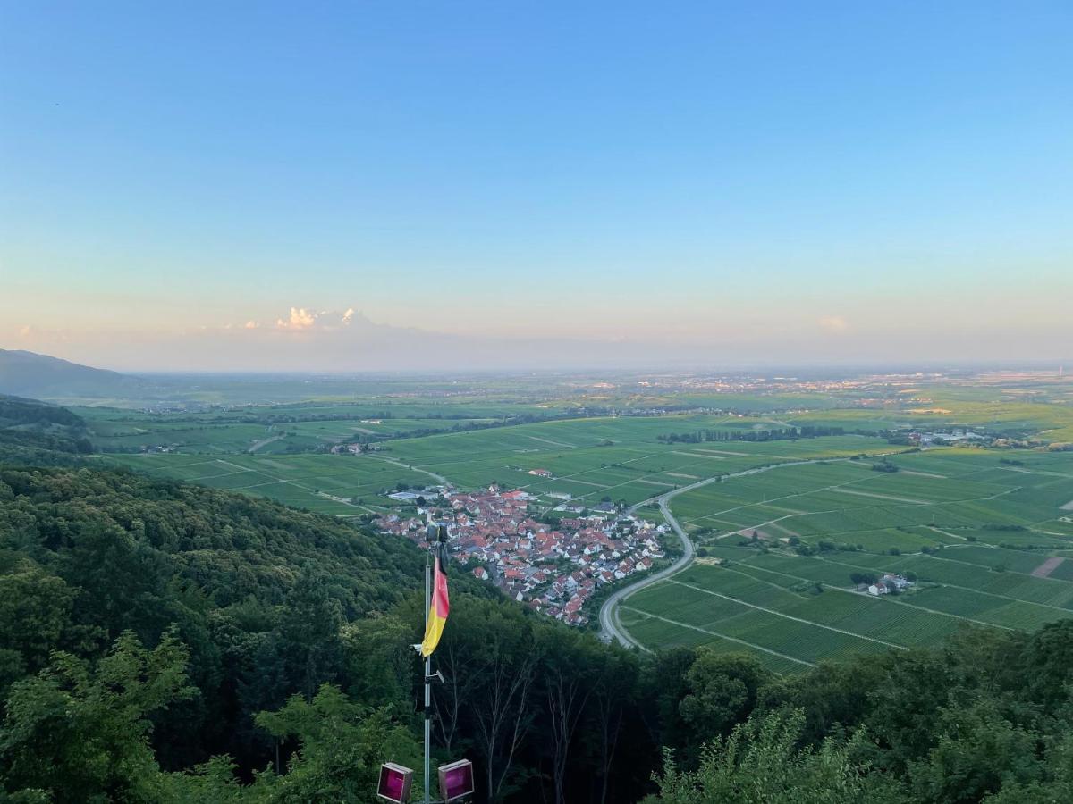 Ferienwohnung Suedliche Weinstrasse Zwischen Wald Und Reben Klingenmünster المظهر الخارجي الصورة