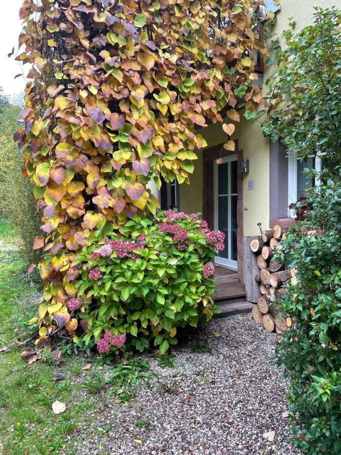 Ferienwohnung Suedliche Weinstrasse Zwischen Wald Und Reben Klingenmünster المظهر الخارجي الصورة