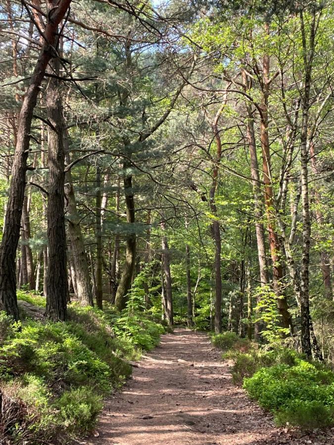 Ferienwohnung Suedliche Weinstrasse Zwischen Wald Und Reben Klingenmünster المظهر الخارجي الصورة