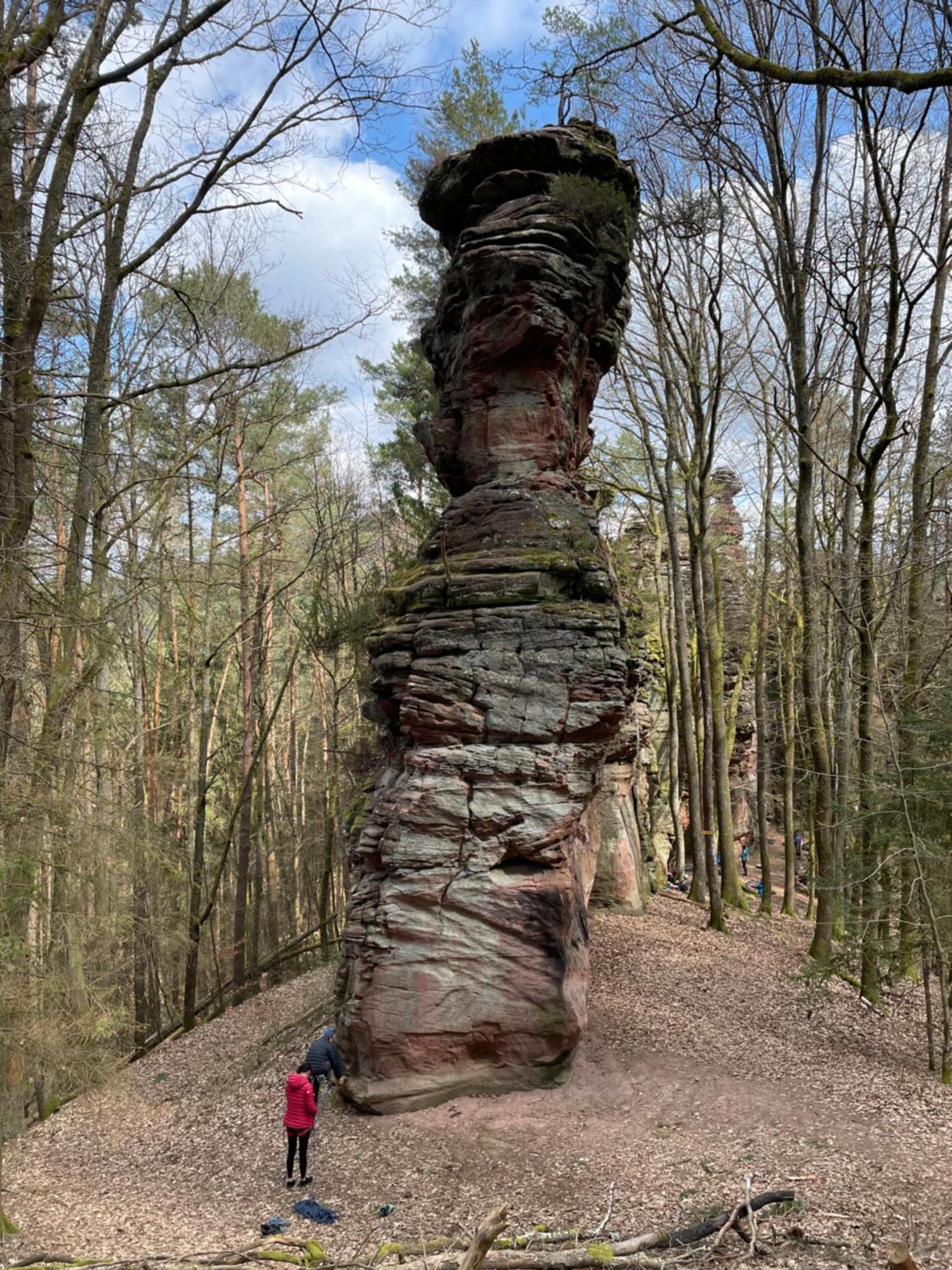 Ferienwohnung Suedliche Weinstrasse Zwischen Wald Und Reben Klingenmünster المظهر الخارجي الصورة